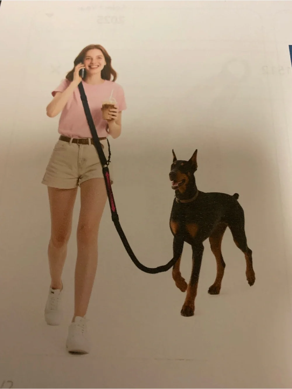 Hands-Free Dog Leash Heelay. Black. Dual-zone adjustment